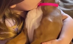 Little Girl Holds Her Best Puppy Pal