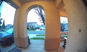 Woman Walks Away With Little Red Wagon