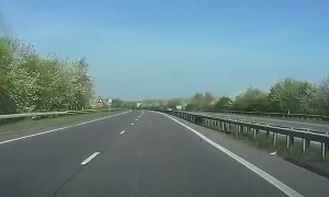 Tesla Autopilot Swerve to Save a Bird