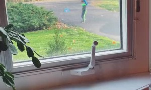 To be young and in love