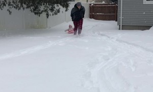 Baby Sled Ride Ends in a Bang