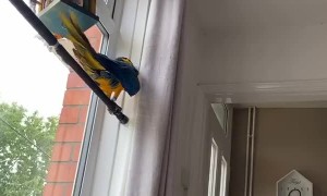 Our first “Reel” I suppose?!