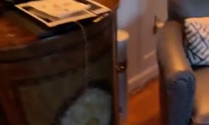 Removal Tool Finds Enormous Chunks of Earwax