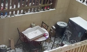 Grown Up Sleds Like Nobody Is Watching