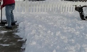 Doggie Does Flips Trying to Catch Flying Snow