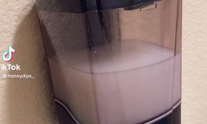 Call and Response From Restroom