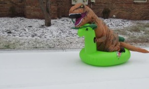 T-Rex Slides Down Snowy Hill