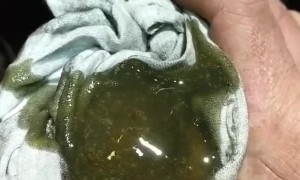 Filter Makes a Funny Noise