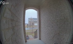 Slippery Stairs Claim Unsuspecting Victim