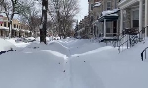 This is a lot of snow, even for Chicago! 