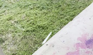 Husband is Not Used to Standing on Ice