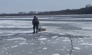 Game Warden rescues deer stranded on icy river