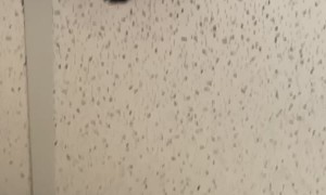 New Security Cameras at Work