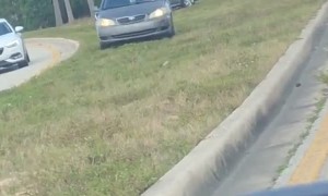 Impatient Drivers Decide to Use Grass Median