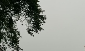 Lighting Strikes Close During a Storm