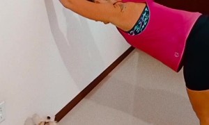 Dog Does Some Stretches with human