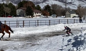 Skijoring Practice in Utah