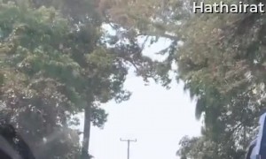 Truck Doesn't Want to Pass Grandma Carrying Stick on a Bike