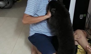 Puppy Protects Boy From Pretending Father