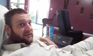 Young Deer Steps into House and Greets Owner