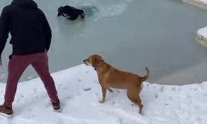 Moonwalk on Frozen Pool Fail
