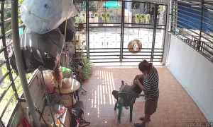 Iguana Pops in to Visit during Hair Appointment