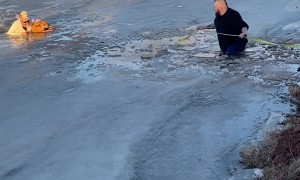 Good Samaritans Rescue Dog From Icy Lake