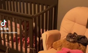 Baby Prefers Dad over Mom in the Mornings