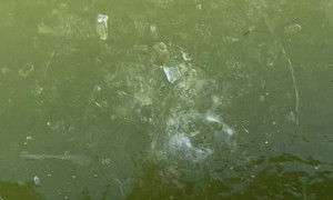 Testing Ice Makes Hammer Disappear