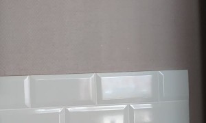 Crazy Cat Hides in Hole in Wall