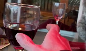 Cat Keeps Mom Away From Wine