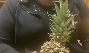 Pineapple Trick Smashes Cooktop