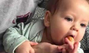 Baby is Determined to Get Orange Slice