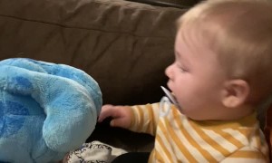 Baby Gets the Giggles from Toy Dog's Floppy Ears