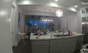 Toddle Takes Mom's Chair Away at the Worst Moment