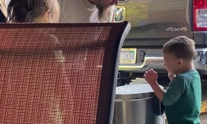 Smack From Lid Gets a Lot of Laughs