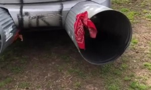 Small Cars With Crazy Exhausts