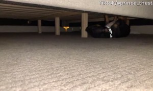 Upside Down Zoomies