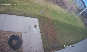 Drunk Driver Crashes Through Martial Arts Building During Class