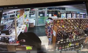 Black Bear Keeps Customers Out of Gas Station