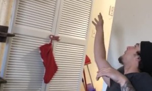 Cat Passes Pink Balloon Back