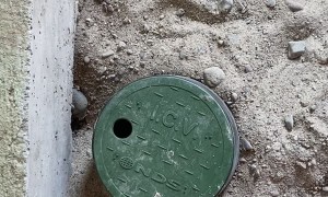 Draining an Alligator Pool Comes with its Problems