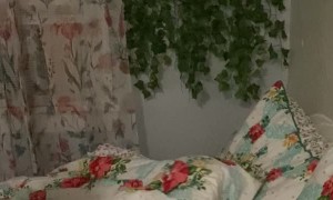 Tired Doggy Tucks Herself Into Bed