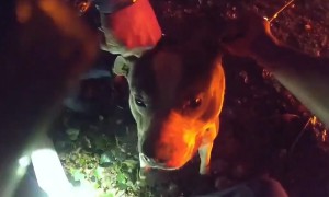 Brave policemen rescue dog tethered near burning car