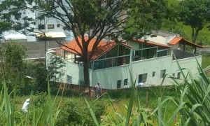 Cut Tree Falls the Wrong Way