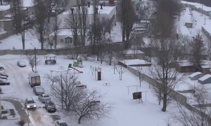Unusual Way to Clean a Carpet