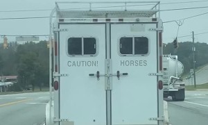 Horse Trailer Message Turns Out to Be True