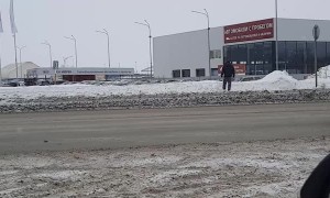 Wild Bear Runs Through Streets in Russia