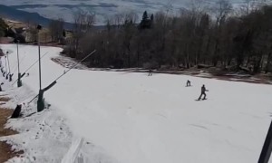 Family of Bears Wander onto Main Street Trail