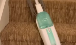 Dad and Daughter Attempt to Deal with Invading Rat